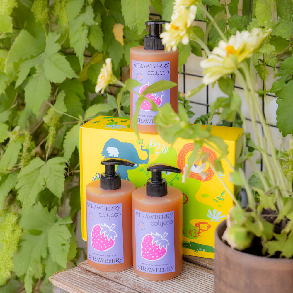 Strawberry Sweet Box